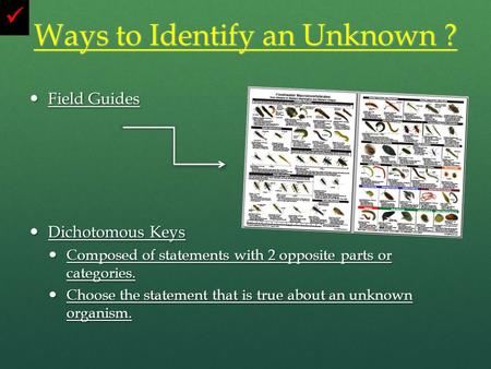 Ways to Identify an Unknown ? Field Guides Field Guides Dichotomous Keys Dichotomous Keys Composed of statements with 2 opposite parts or categories. Composed.