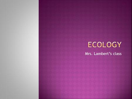 Mrs. Lambert’s class.  Biogeochemical Cycles  Abiotic vs. Biotic Factors  Autotrophs vs. Heterotrophs  Food Chains/Webs  Trophic Levels  10% Energy.