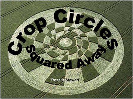 Rosalie Stewart. What are Crop Circles?  Crop circles are geometrical patterns (not necessarily circular) found in cultivated crops.  They are studied.