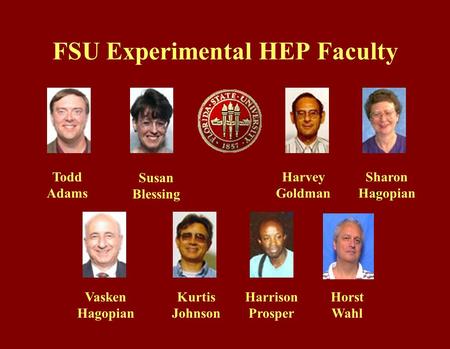 FSU Experimental HEP Faculty Todd Adams Susan Blessing Harvey Goldman S Sharon Hagopian Vasken Hagopian Kurtis Johnson Harrison Prosper Horst Wahl.