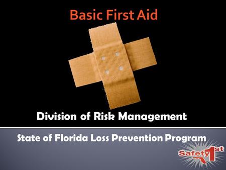 Division of Risk Management State of Florida Loss Prevention Program.