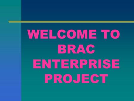 WELCOME TO BRAC ENTERPRISE PROJECT. Rural Economic and Enterprise Development Programme.