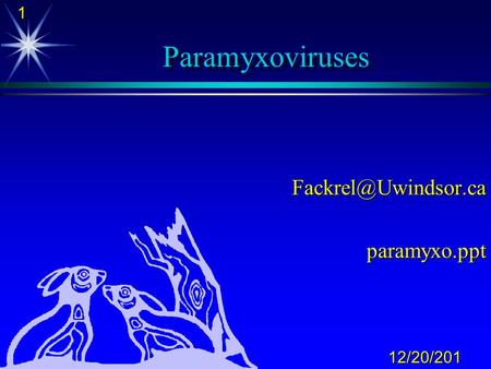 Fackrel@Uwindsor.ca paramyxo.ppt Paramyxoviruses Fackrel@Uwindsor.ca paramyxo.ppt.