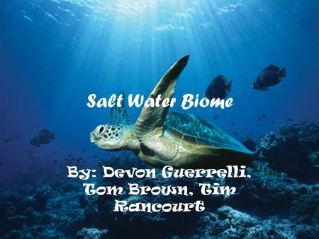 Salt Water Biome By: Devon Guerrelli, Tom Brown, Tim Rancourt.