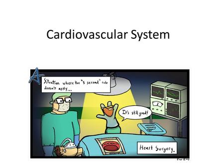 Cardiovascular System. Function: Uses blood to transport oxygen, nutrients, cell wastes, hormones, etc. Force to move blood around body is provided by.