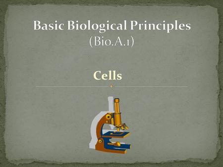 Cells. All living things: are made of cells obtain and use energy grow and develop reproduce on their own respond to their environment adapt to their.