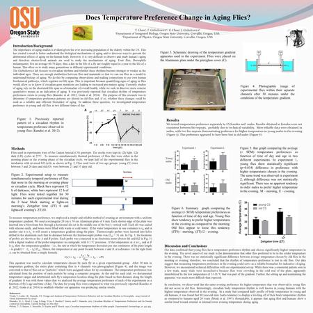 Does Temperature Preference Change in Aging Flies? Introduction/Background The importance of aging studies is evident given the ever increasing population.