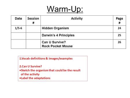 Warm-Up: DateSession # ActivityPage # 1/5-6 Hidden Organism 24 Darwin’s 4 Principles 25 Can U Survive? Rock Pocket Mouse 26 1.Vocab definitions & images/examples.