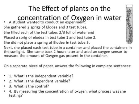 The Effect of plants on the concentration of Oxygen in water A student wanted to conduct an experiment. She gathered 2 sprigs of Elodea and 3 test tubes.