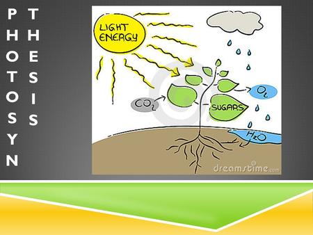 SOURCES OF ENERGY A. Every living thing needs energy to make proteins and to transport substances into and out of the cell. 1. Trophic Levels example.