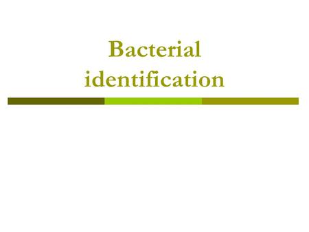 Bacterial identification