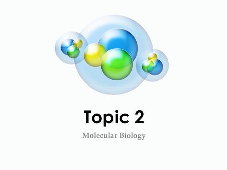 Topic 2 Molecular Biology. 2.4 Proteins What do we know about proteins?