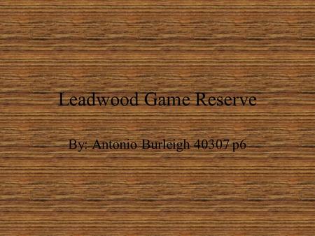 Leadwood Game Reserve By: Antonio Burleigh 40307 p6.