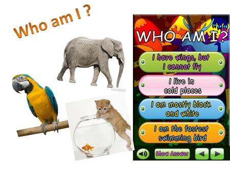 Find out what bird it is and complete the sentences. 1. …. lives in water and likes cold weather. The last letter is ‘n’.