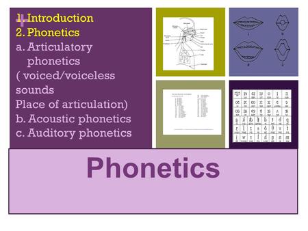 Phonetics Introduction Phonetics Articulatory phonetics