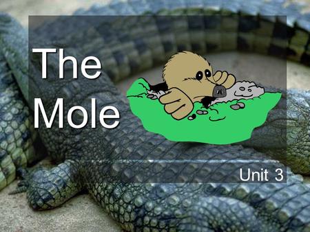 The Mole Unit 3 The Mole So far we have been dealing with numbers on the atomic scale… –Atomic Number = # of protons –Mass Number = # of protons + #