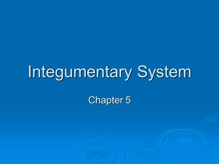 Integumentary System Chapter 5. Learner Objectives  To analyze the structural and functional relationships of the tissues within the integument.  To.