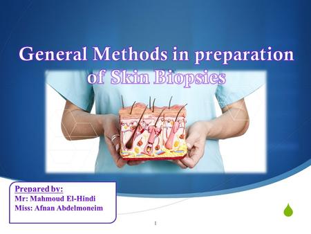  1.  The skin accessory organs, sweat glands, sebaceous glands, hair and the nails largest organ in the human body  The skin together with its accessory.