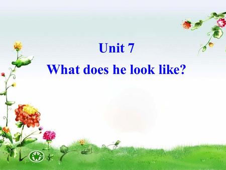 Unit 7 What does he look like?. ear hair eye hand head arm leg foot face back nose mouth ear hair eye hand head arm leg foot face back nose mouth.