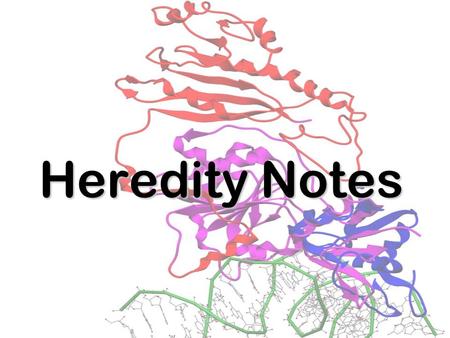 Heredity Notes. History Gregor Mendel studied pea plants to see how the traits could be passed down from one generation to another. He found that traits.