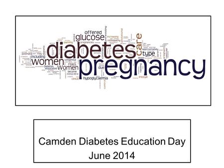 Camden Diabetes Education Day June 2014