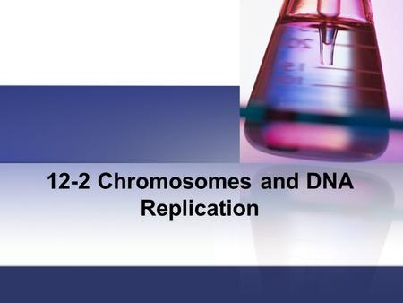 12-2 Chromosomes and DNA Replication