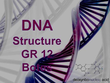 DNA –Position in the cell Nucleus DNA double helix Chromosomes.