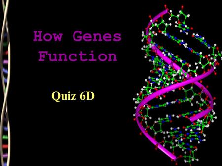 How Genes Function Quiz 6D. Four main points of how genes function Nucleotides (symbols in the language) are arranged into codons (letters) Codons (letters.