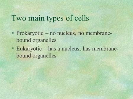 Two main types of cells §Prokaryotic – no nucleus, no membrane- bound organelles §Eukaryotic – has a nucleus, has membrane- bound organelles.