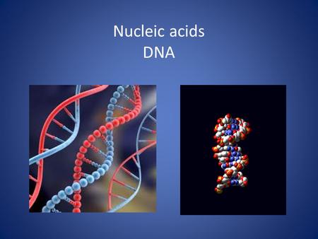 Nucleic acids DNA LOCATION OF DNA  Controls protein synthesis  Carries hereditary characteristics  Controls protein synthesis  Carries hereditary.