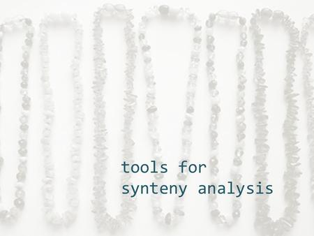 tools for synteny analysis