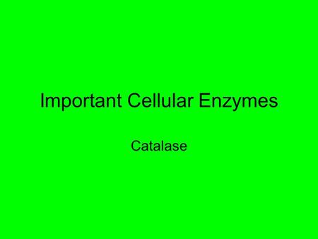 Important Cellular Enzymes Catalase. What is it and What is it for? Catalase is an enzyme made in the cells of all organisms It is needed to break down.