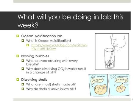 What will you be doing in lab this week?  Ocean Acidification lab  What is Ocean Acidification?  https://www.youtube.com/watch?v =Wo-bHt1bOsw https://www.youtube.com/watch?v.