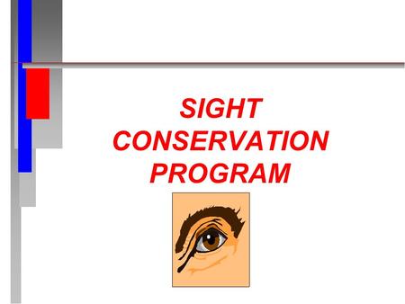 SIGHT CONSERVATION PROGRAM. REFERENCES 29 CFR 1910.133.