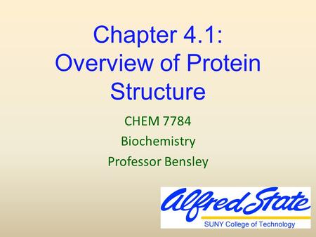 Chapter 4.1: Overview of Protein Structure CHEM 7784 Biochemistry Professor Bensley.