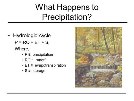 What Happens to Precipitation?