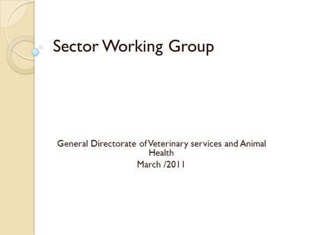 Sector Working Group General Directorate of Veterinary services and Animal Health March /2011.