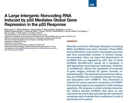 Cell Growth & Differentiation Vol. 10, 545-554, 1999 Inhibition of the Jun Kinase Pathway Blocks DNA Repair, Enhances p53-mediated Apoptosis and Promotes.