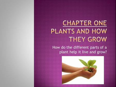 Chapter One Plants and How They Grow