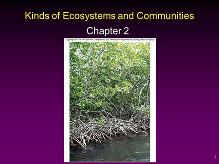 1 Kinds of Ecosystems and Communities Chapter 2. 2 Succession ____________ - A series of regular, predictable changes in community structure over time.