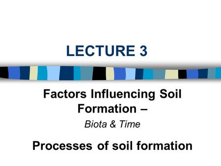 LECTURE 3 Factors Influencing Soil Formation – Biota & Time Processes of soil formation.