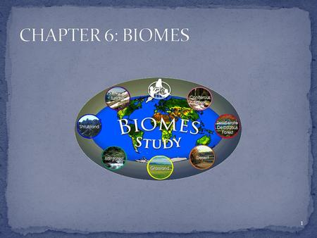 1. A BIOME IS A LARGE REGION CHARACTERIZED BY TWO FACTORS: CLIMATE AND PLANT LIFE. CLIMATE IS THE WEATHER CONDITIONS (TEMPERATURE AND PRECIPITATION) IN.