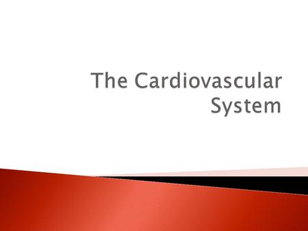 Pulmonary artery Pulmonary vein Left atrium Left Ventricle Aorta Vena Cava Right Atrium Right Ventricle.