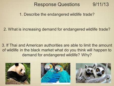 Response Questions9/11/13 2. What is increasing demand for endangered wildlife trade? 3. If Thai and American authorities are able to limit the amount.