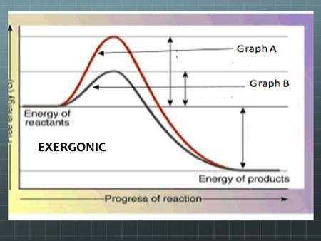 EXERGONIC. ENDERGONIC Nucleic Acids and ATP Nucleic Acids Elements: C, H, O, N, P, S Two types of Nucleic acids: DNA (Deoxyribonucleic Acid) RNA (Ribonucleic.