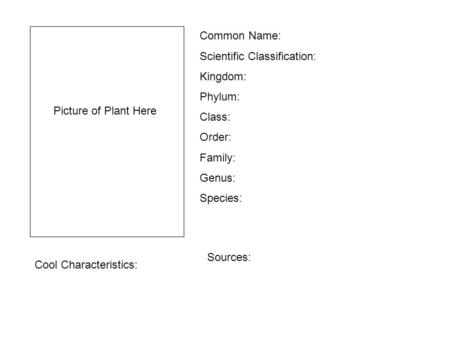 Picture of Plant Here Common Name: Scientific Classification: Kingdom: Phylum: Class: Order: Family: Genus: Species: Cool Characteristics: Sources: