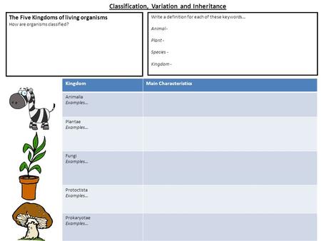 KingdomMain Characteristics Animalia Examples… Plantae Examples… Fungi Examples… Protoctista Examples… Prokaryotae Examples… Classification, Variation.