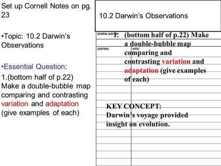 Set up Cornell Notes on pg. 23