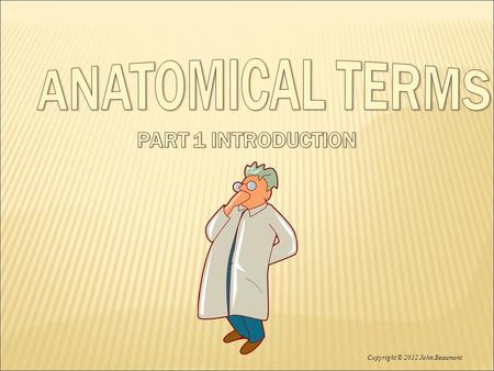 Copyright © 2012 John Beaumont. NOTES – ANATOMICAL TERMS Major systems of the human body 1. Skeletal System bones, cartilage.