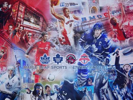 Maple Leaf Sports and Entertainment Economic Scan SWOT Competitor Forces Marketing Position Strategies Objectives Target Market.